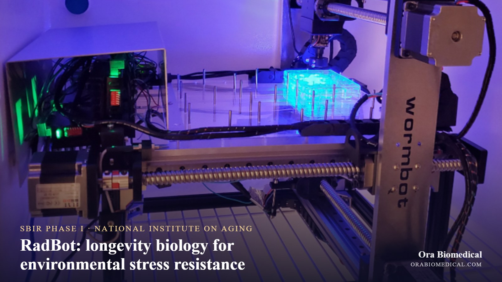 WormBot prototype under UV light with a glowing plate; label reads SBIR Phase I, National Institute on Aging